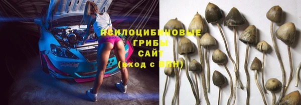 прущая мука Абаза