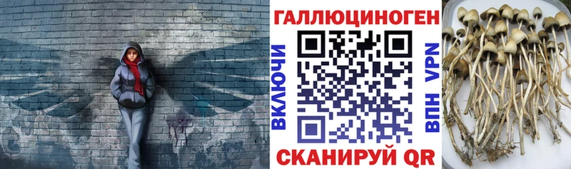 Псилоцибиновые грибы GOLDEN TEACHER  OMG ТОР  Нижняя Тура 